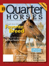 Horse Magazines - Popular Horses: Quarter Horses