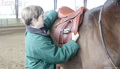 Saddle Fitter Video