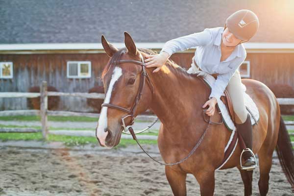 Riding - Rider petting horse