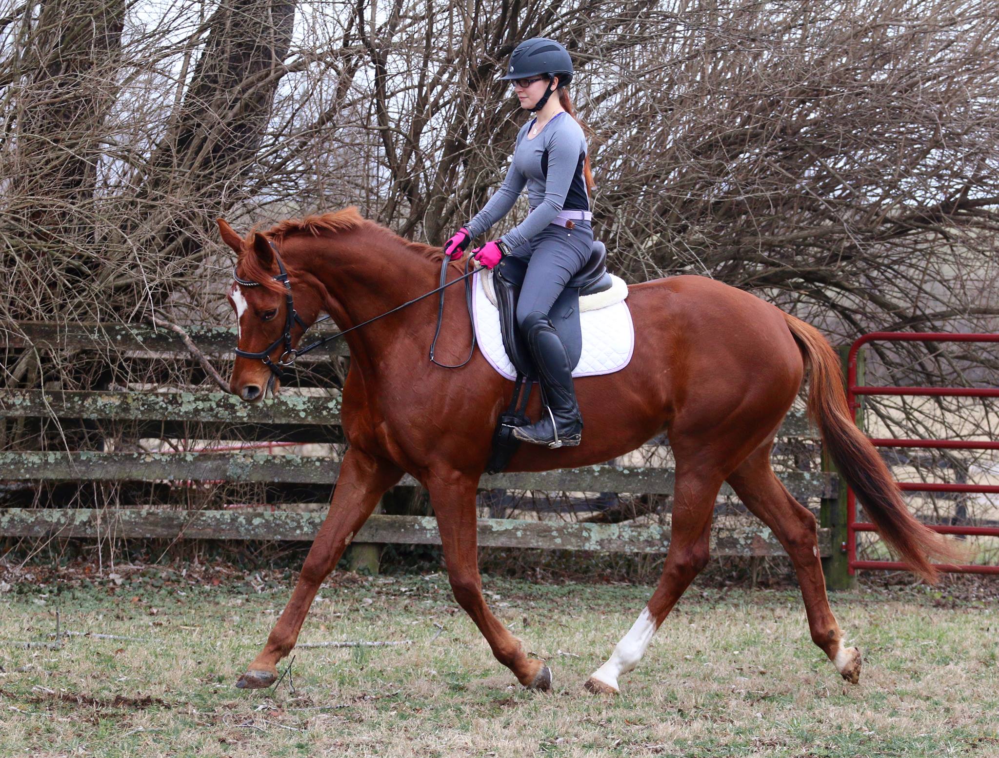 ARTICLE TITLE Ria trotting