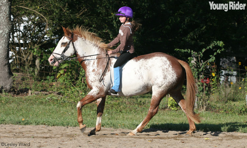 Bareback Canter