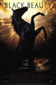 The poster for Black Beauty, an iconic horse movie
