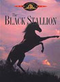 The famous horse movie The Black Stallion