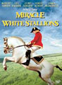 Miracle of the White Stallions