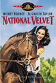 The poster of the iconic horse movie National Velvet