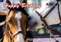 Create your own Horse eCard