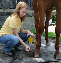 Hoof oil