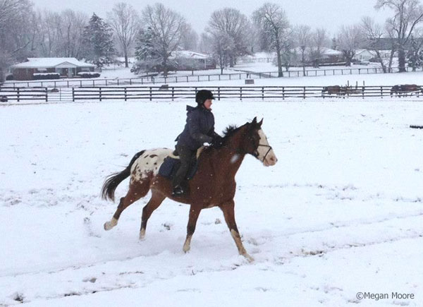 Holly and Jester in the snow