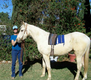 Life with Horses - Meanwhile, Back at the Ranch...