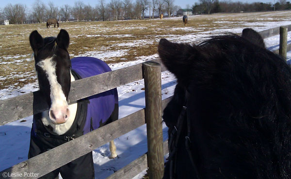 Winter Ride