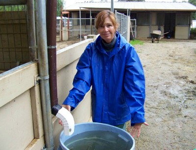 Life with Horses - My New Perfume: L’Air du Slop