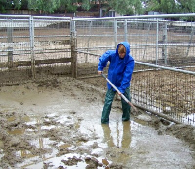 Life with Horses - My New Perfume: L'Air du Slop