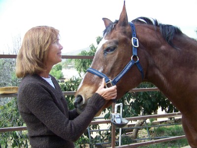 Life with Horses - Ziggy at 26