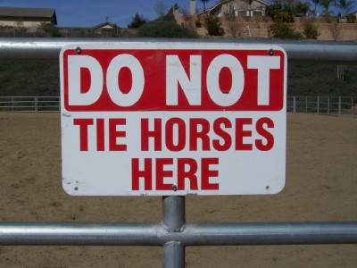 Life with Horses - A Commonsense Code of Conduct