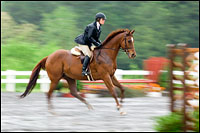 Photographing horse shows in the rain