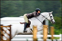 Photographing horse shows in the rain