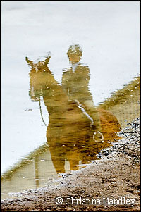 Photographing horse shows in the rain