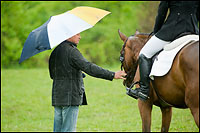 Photographing horse shows in the rain