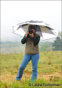 Photographing horse shows in the rain