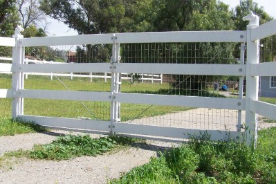 Life with Horses - Waiting at the Gate