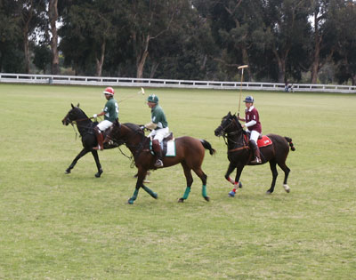 Polo players