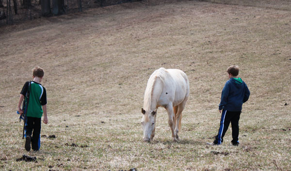 Paddles the Pony