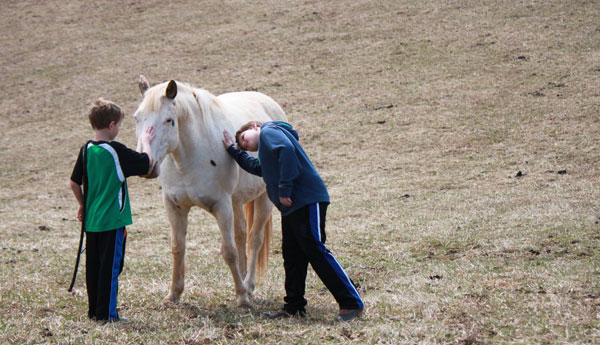 Paddles the Pony