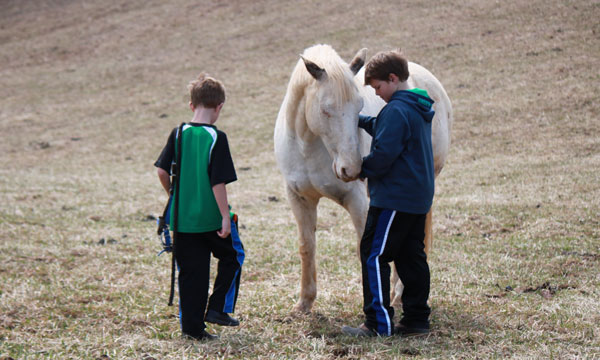 Paddles the Pony