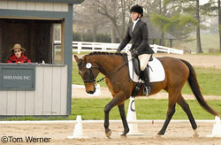 Holly and Dexter dressage