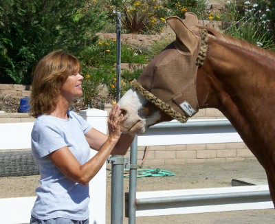 Life with Horses - Cat-Horse or Dog-Horse? You Decide.