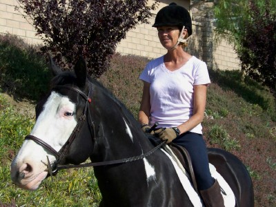 Life with Horses - The Ladies Crossrail and Chit Chat Club