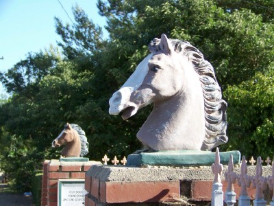 Life with Horses - Floating Horse Heads