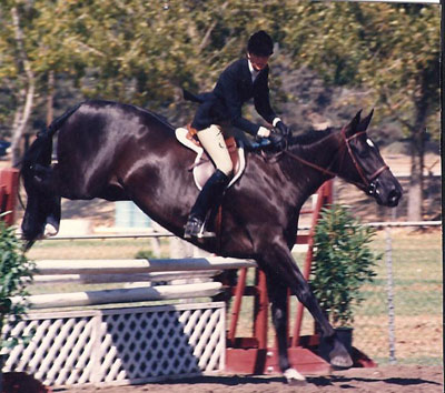 Life with Horses - Jumping with Style