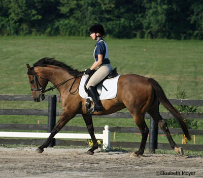 Dexter and Holly in dressage