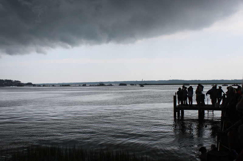 Chincoteague Ponies