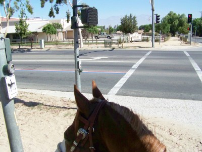 Life with Horses - My Handy Dandy Guide to Summertime Trail Rides