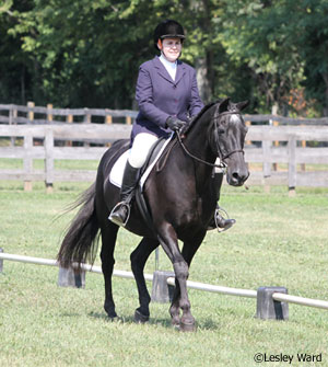 Dressage Show