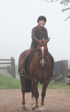 Pants the Welsh Cob