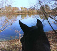 Trail Riding