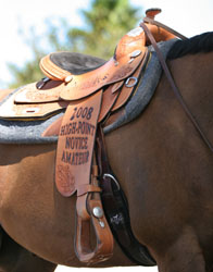 Life with Horses - Can I Interest You in a Miniature Tool Set to Go Along with Your Blue Ribbon?