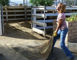 Life with Horses - The Annual Dragging of the Mats