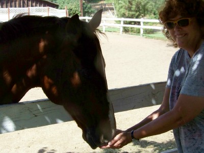 Life with Horses - An Apple from the Queen