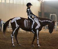 Horse and rier skeleton costume