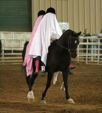 Horse and riders ghost costume