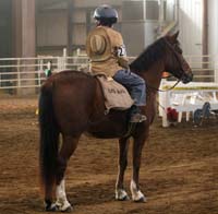 Horse and rider pony express costume