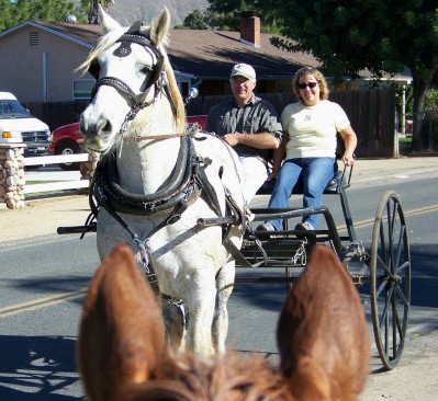 Horse drawn wagon