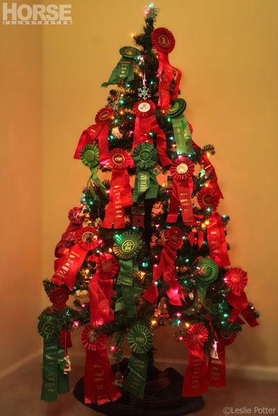 Ribbon Tree