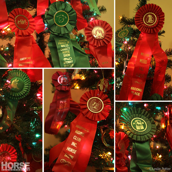 Ribbon Tree