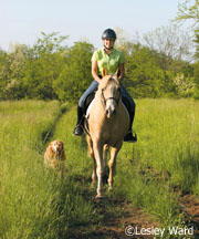 Dogs and horses can make great companions