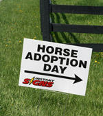 Horse Adoption Day at the KyEHC